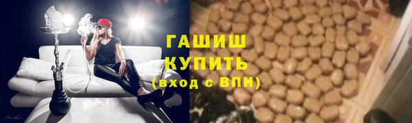 ГАЛЛЮЦИНОГЕННЫЕ ГРИБЫ Верея